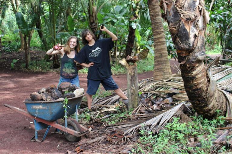 Paradise Eco Village Pahoa Zewnętrze zdjęcie