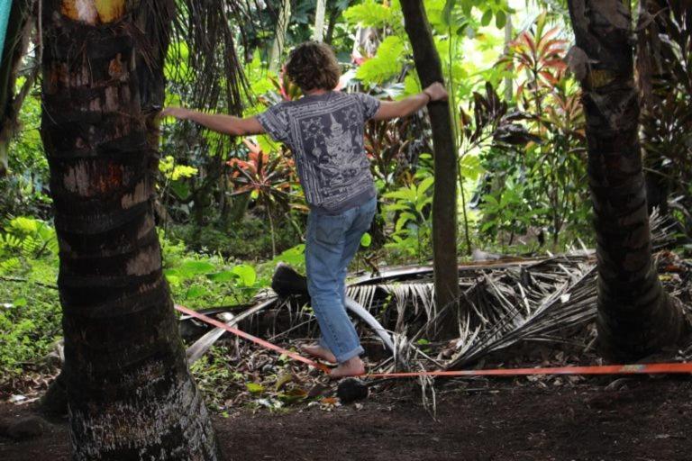 Paradise Eco Village Pahoa Zewnętrze zdjęcie
