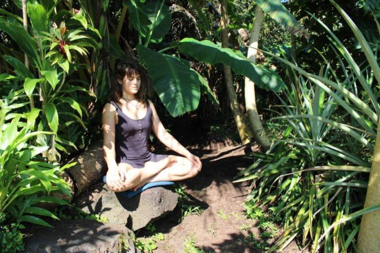 Paradise Eco Village Pahoa Zewnętrze zdjęcie