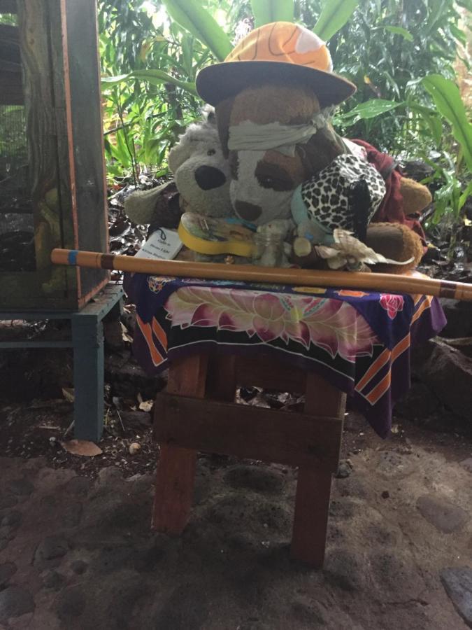 Paradise Eco Village Pahoa Zewnętrze zdjęcie