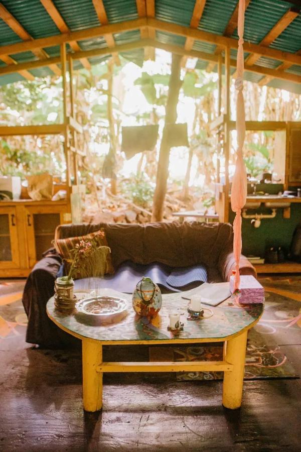 Paradise Eco Village Pahoa Zewnętrze zdjęcie