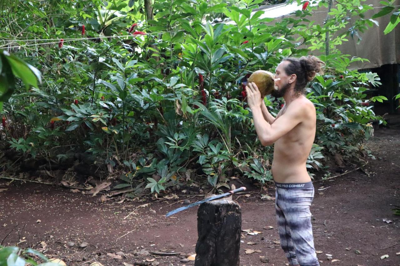 Paradise Eco Village Pahoa Zewnętrze zdjęcie