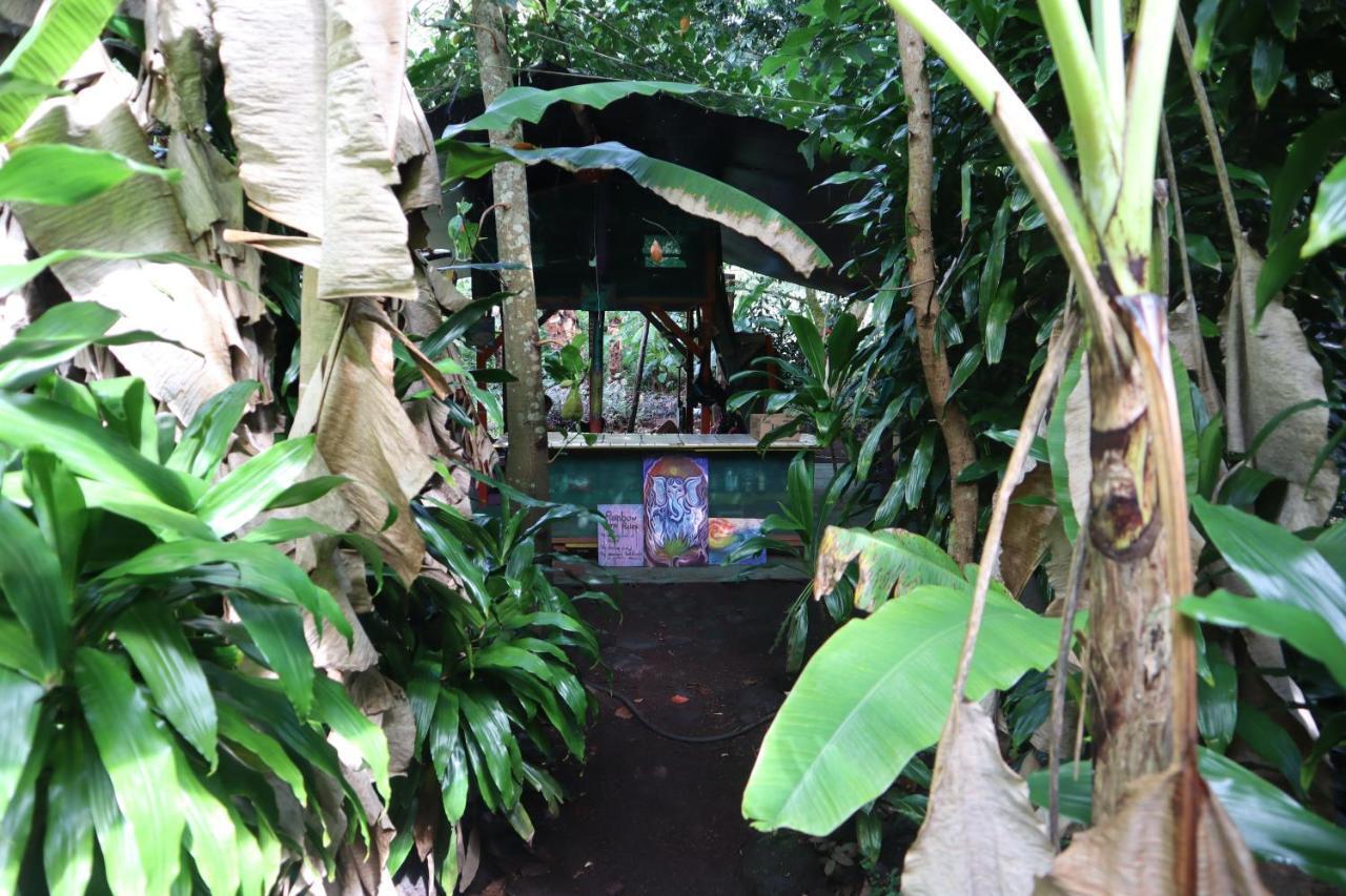 Paradise Eco Village Pahoa Zewnętrze zdjęcie