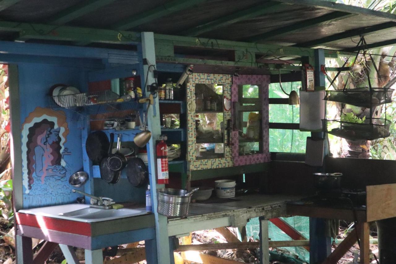 Paradise Eco Village Pahoa Zewnętrze zdjęcie