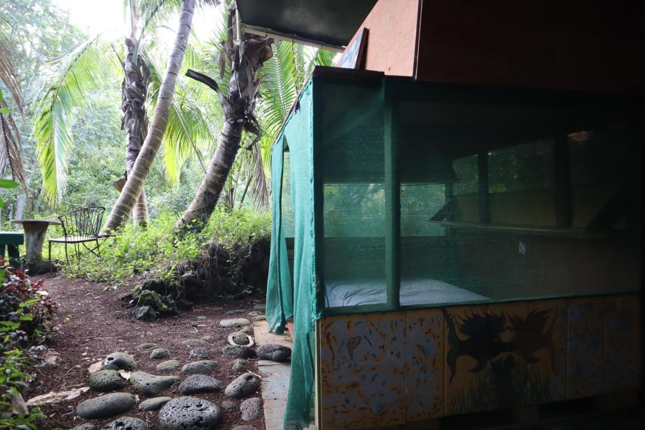 Paradise Eco Village Pahoa Zewnętrze zdjęcie