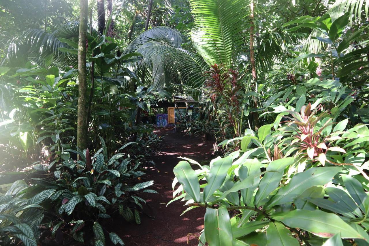 Paradise Eco Village Pahoa Zewnętrze zdjęcie