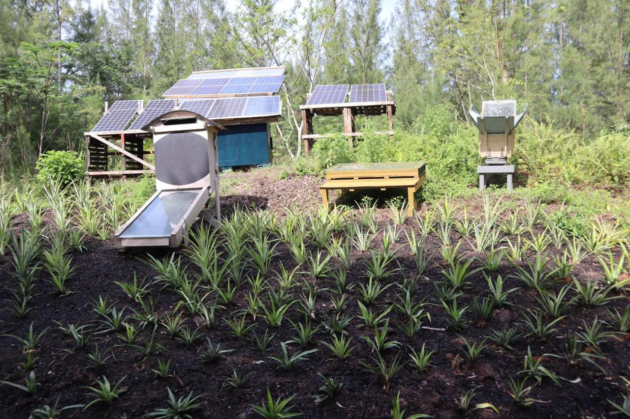 Paradise Eco Village Pahoa Zewnętrze zdjęcie