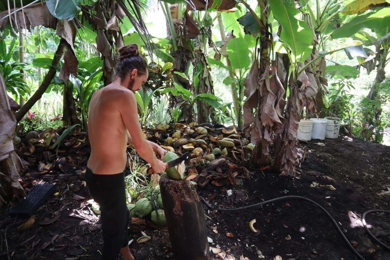 Paradise Eco Village Pahoa Zewnętrze zdjęcie