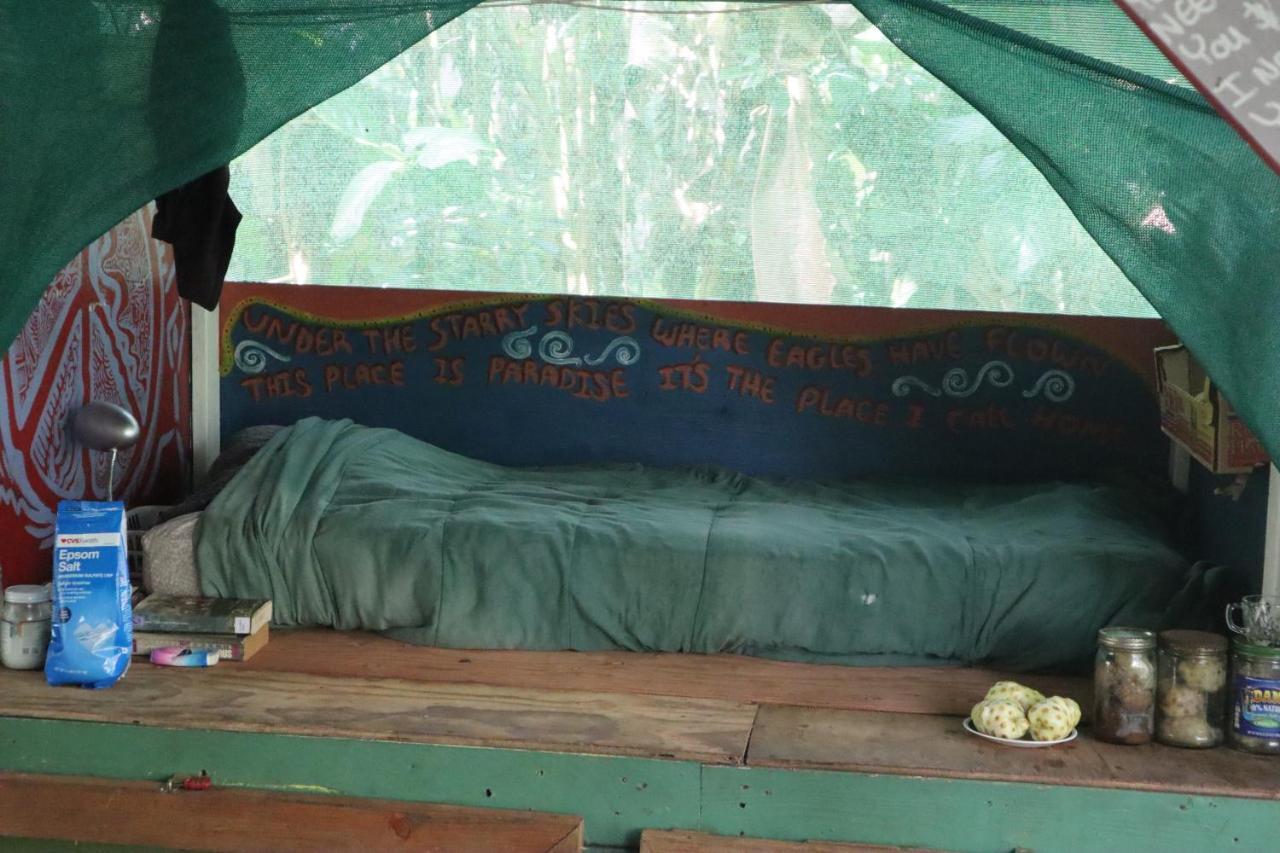 Paradise Eco Village Pahoa Zewnętrze zdjęcie