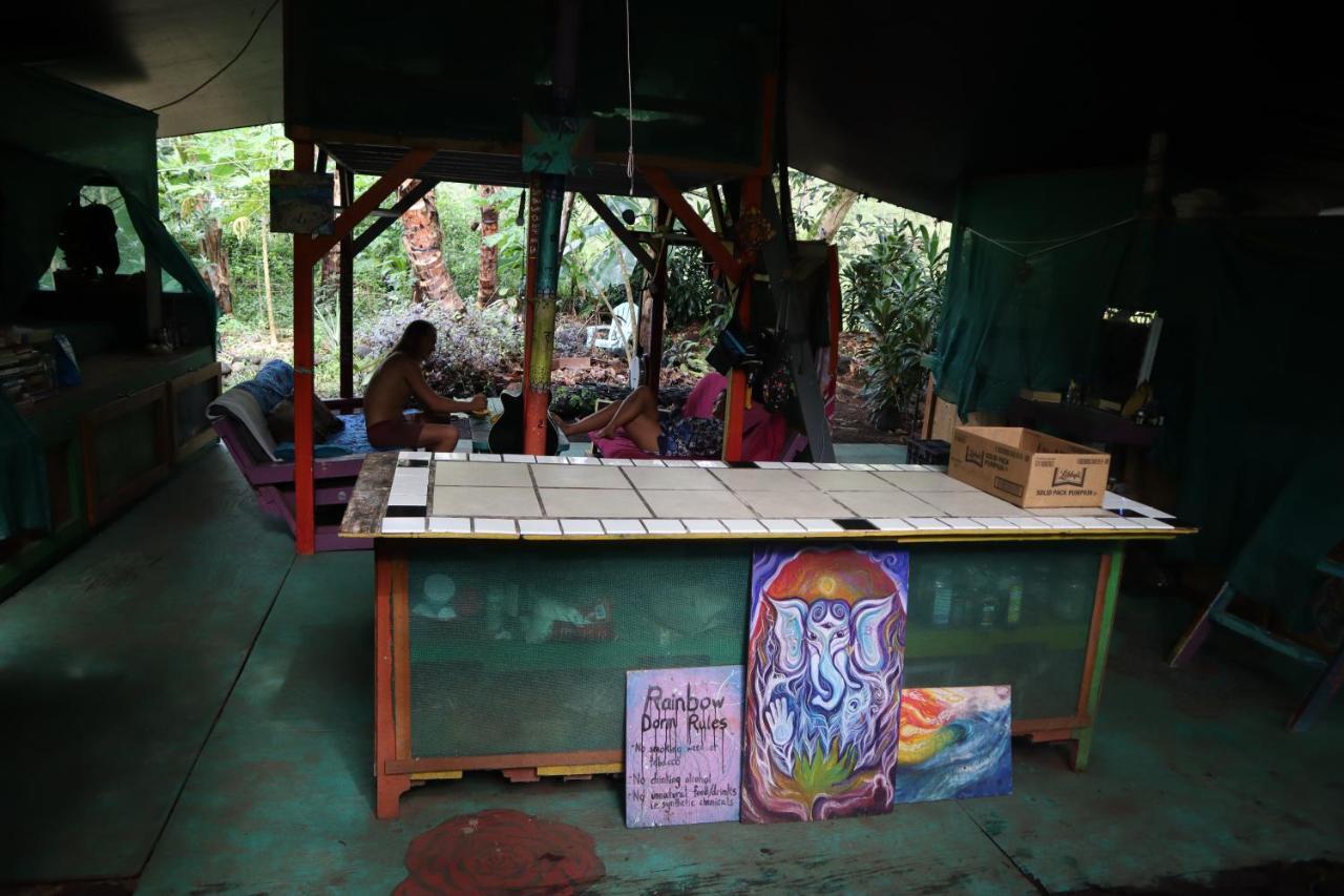 Paradise Eco Village Pahoa Zewnętrze zdjęcie