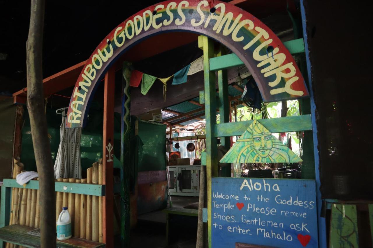 Paradise Eco Village Pahoa Zewnętrze zdjęcie