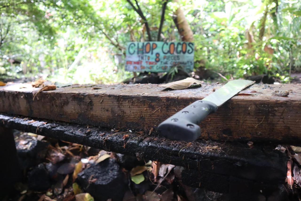 Paradise Eco Village Pahoa Zewnętrze zdjęcie